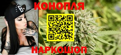 сатива Конаково